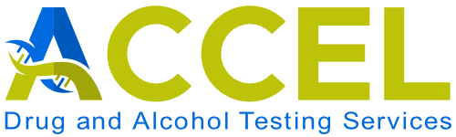 ACCEL Drug and Alcohol Testing Services